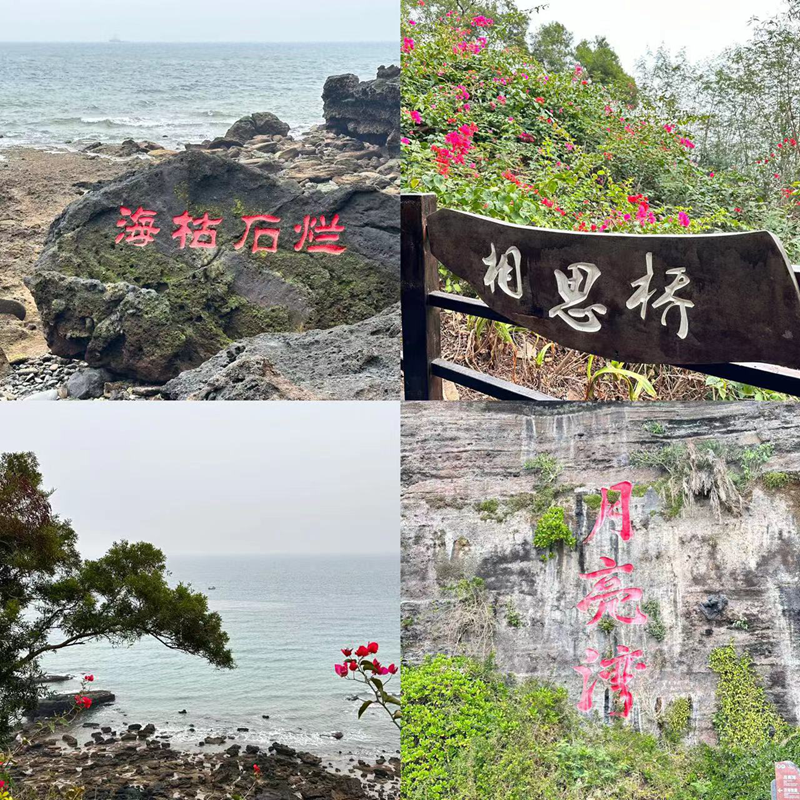 ?？菔癄€.png