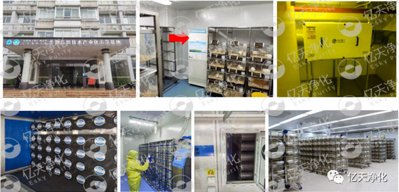 動(dòng)物實(shí)驗(yàn)室難聞的惡臭異味有哪些危害?如何去除?——?jiǎng)游飳?shí)驗(yàn)室去除臭味異味空氣質(zhì)量控制方案